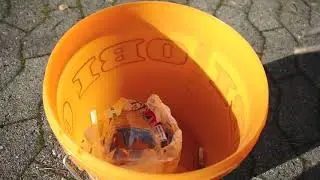 Cigarette butt cleanup tour...before school meeting to talk about litter