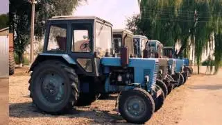 Ukrainian Bulk Export Grains Supply Chains