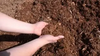 Bulk Cedar Mulch for Sale NJ & NY | Best Prices & Fast Delivery