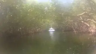 Tarpon Basin 001