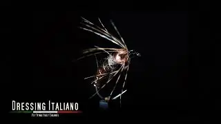 Dressing ninfa P.T FLYMPH by Dressing Italiano - Fly Tying Italy