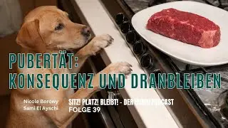 #39 Hund in der Pubertät: Training, Konsequenz und Dranbleiben