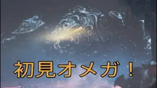 【モンハンワイルズ】-44- #オメガプラメテス