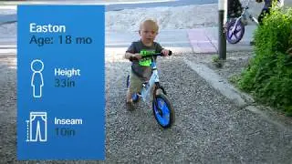 Fox Air Beds Aluminum Balance Bike for Kids and Toddlers - No Pedal Sport Training Bicycle