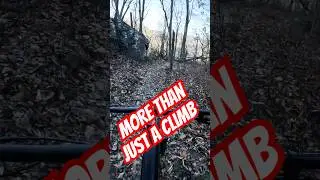Earn The View! #nbx  #mtb #mtbreview #extremesport #mountainbiking #outdooractivity #amtb