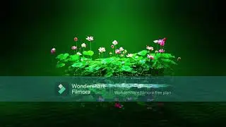 Lotus HD video, Greenary, Relaxation Music 4Hrs, Yoga Music and Happy Music