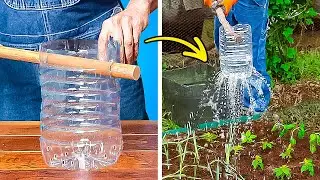 DIY PLANT GROWING IDEAS 🪴 TOP GARDENING TIPS
