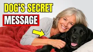 If You&rsquo;re Over 50 and Your Dog Sleeps With You, Watch This
