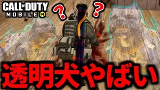 【CoD:MOBILE】アプデ明けすぐに『透明犬K9』に苦しむバトロワ【CoDモバイル】