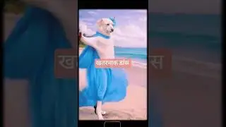 dog funny dance #trending #haryanvi song compilation #comedy dance