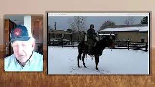 Mineral Salt Lick, Tricks for Worming Your Mule, & Good Feed for Nursing Mini Mule