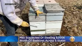 Man Suspected Of Stealing $200K Worth Of Beehives Across 5 States, Including California
