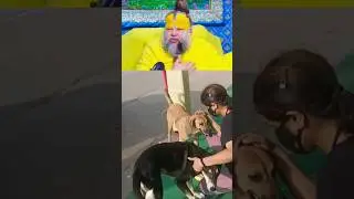Stop Animal Cruelty 🙏🐕🐾🙏#dogs #premanandjimaharaj #premanandji #youtube #shorts #animals