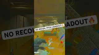 My Best Meta No Recoil PPSH Build🔥  #žor&scaron; #shorts #blackops6  #cod   #rebirthisland  #warzone