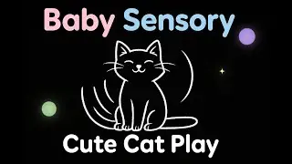 Cute Cat plays | Baby Sensory Video with Relaxing Black Background