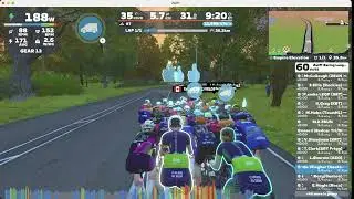 Zwift Racing League - Race 6 - Rising Empire - Herd of Gentoo Penguins