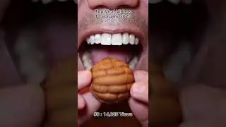 The Most Satisfying Chocolate and Candy ASMR Compilation 🍫🍬 #DoctorTristanPeh #Chocolate #Candy