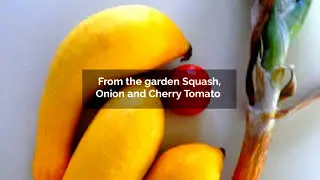 Frugal Gourmet - Squash, Onions and Tomatoes | #squash #onions #tomatoes #cookingathome