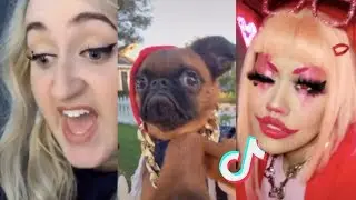 Eyes.Lips.Face (TikTok Compilation)
