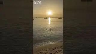 Watching the Sunset at Grand Mal Beach, St  George, Grenada! #short #grenadalife #grenada