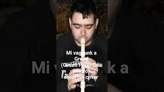 Mi vagyunk a Grund (Geszti P&eacute;ter -D&eacute;s L&aacute;szl&oacute;) recorder cover #blockfl&ouml;te #cover #furulya #recorder