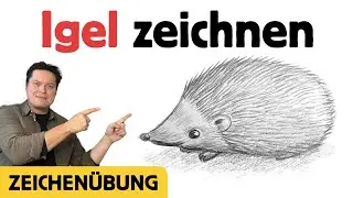 Igel Zeichnen 🦔 Tutorial - Einfache Schritt f&uuml;r Schritt Zeichen&uuml;bung