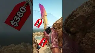 BEST BUDGET KNIFE GLOVE COMBO UNDER $500 #csgo #cs2 #counterstrike