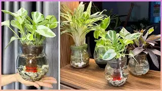 Интересно превратить старые пластиковые бутылки в горшки для растений, которые приносят радость