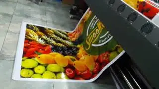 Allwin / Aethra A8  Video for Flex / Banner Printing Machine - Imported
