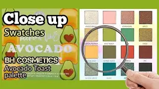 AVOCADO TOAST palette SWATCHES | BH COSMETICS | Close Up
