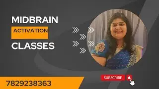 Midbrain Activation Classes In Bangalore: Unleash Your Child's Inner Genius (7829238363)