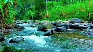 Natural River ASMR &ndash; Flowing Water Sounds for Focus, Calm Mind & Relaxation