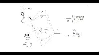 Molecular Orbital Theory, Polar Covalent Sigma, Pi Bonds as well as Lone Pairs and Empty p Orbitals