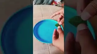 simple science experiments with 🌿 leaf and 🔏 ink  react with water 💦/#shorts
