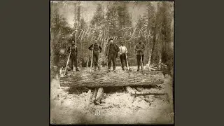 Michigan Fire