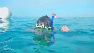 Royal Caribbean   fury snorkeling and beach break !!
