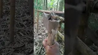 alat pertanian tuk membelah kayu,namanya pecok