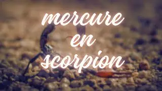 Mercure en scorpion - la méfiance a la confiance