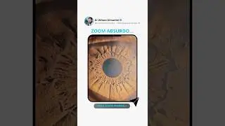 ZOOM ABSURDO&hellip;👁️👁️