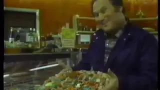 Miracle Food Mart [Al Waxman] (1983)