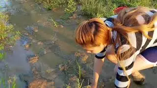 Fishing  2017 - Khmer Net Fishing - Cambodia Traditional Fishing