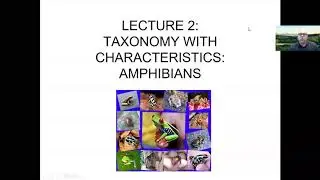 Lecture 2: Taxonomy of Extant Amphibians: Anurans