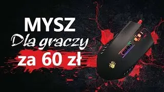 Mysz A4Tech Bloody Q81 - JAKOŚĆ ZA 60 ZŁ