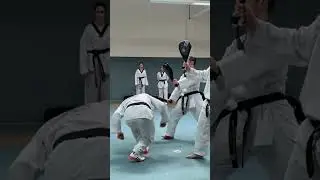 Taekwondo Seminar with Grandmaster Chang and Master Jo at Musado K&ouml;ln