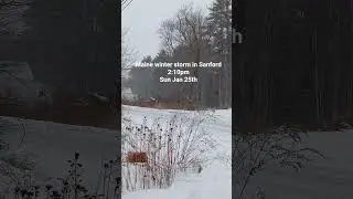 updates every hour on the storm from our van we live in. #maine #winterstorm #historicstorm #snow