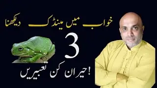khwab min mindic MENDAK dekhana خواب میں مینڈک دیکھنا &ndash; رزق یا بیماری؟ پوری تعبیر جانیے!