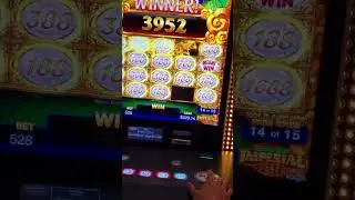Slot machine: Peacock Beauty Imperial 88 - hold n spin feature - good win