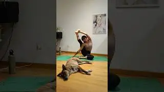 Yoga & Indy 🤍 Lo mejor del d&iacute;a #yogadog #yogaencasa #vinyasayogaflow