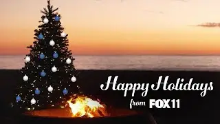Beach sunset holiday loop