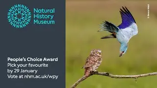 People's Choice Award 2024 | Wildlife Photographer of the Year